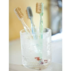 New ✨ Vermont Country Store Natural Bristle Toothbrush, Set Of 3 🧨